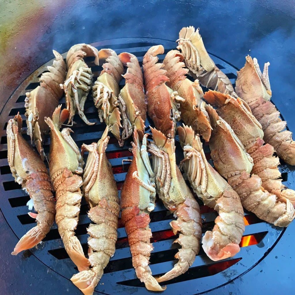 Arteflame Grill Grates - Phoenix Fire Art Store