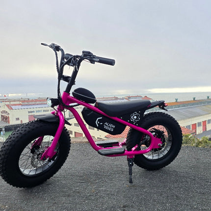 AR Atom 1000 Watt Mini Electric Bicycle