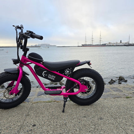 AR Atom 1000 Watt Mini Electric Bicycle