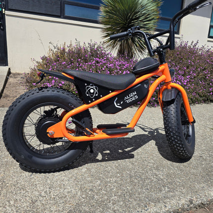 AR Atom 1000 Watt Mini Electric Bicycle
