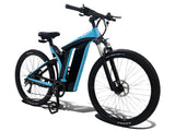 Rundeer Starry Sky UD Carbon Fiber Electric Bike - Your Legs Called, They're Retiring Early