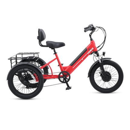 Viribus SC5 Fat Tire Electric Tricycle - Phoenix Fire Art Store