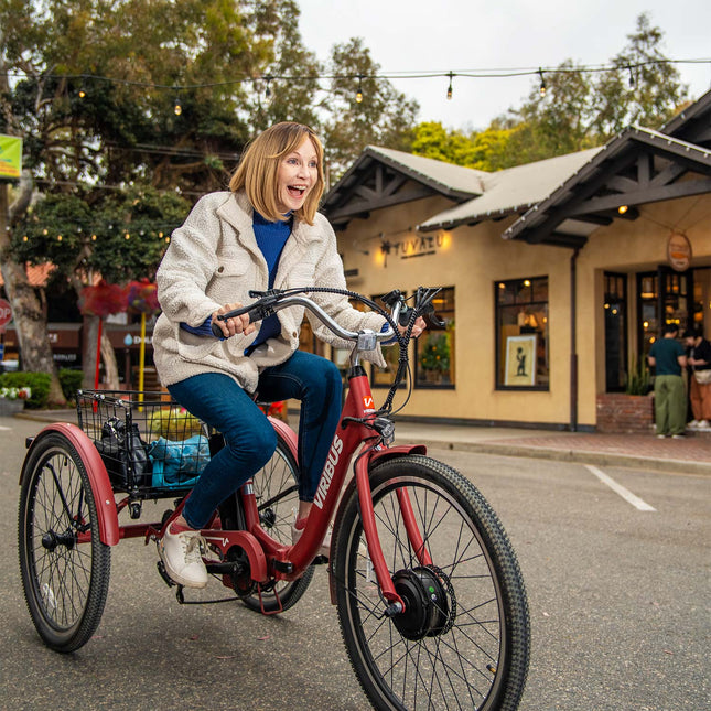 Viribus TG1 Folding Electric Tricycle - 3 Wheels
