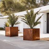Corten Steel Cube Planters - FREE SHIPPING!