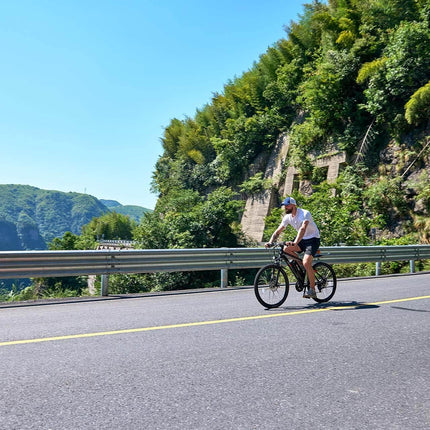 Electric Mountain Bike - Viribus Panther 26 Inch - Phoenix Fire Art Store