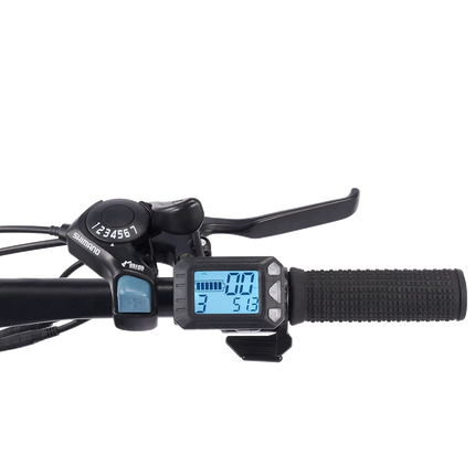 Electric Mountain Bike - Viribus Panther 26 Inch - Phoenix Fire Art Store