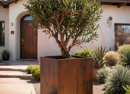 Corten Steel Cube Planters - FREE SHIPPING! - Phoenix Fire Art Store