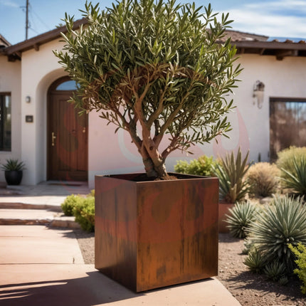 Corten Steel Cube Planters - FREE SHIPPING! - Phoenix Fire Art Store