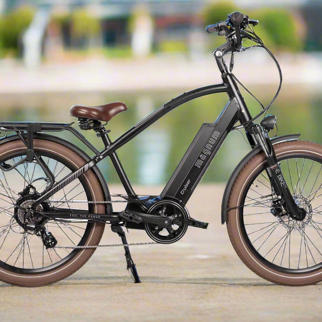 Cruiser 2.0 CPO E-Bike