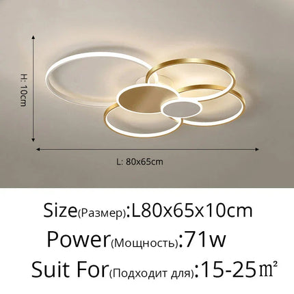DecorBites™ LED Ceiling Chandelier Light for Living Room Bedroom Dining Hall Indoor Lighting Fixtures Decorbites