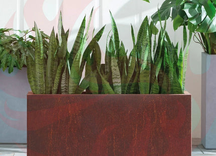 Corten Steel Box Planters - FREE SHIPPING! MK Design Elements