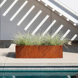 Corten Steel Box Planters - Rust Never Looked So Good! FREE SHIPPING
