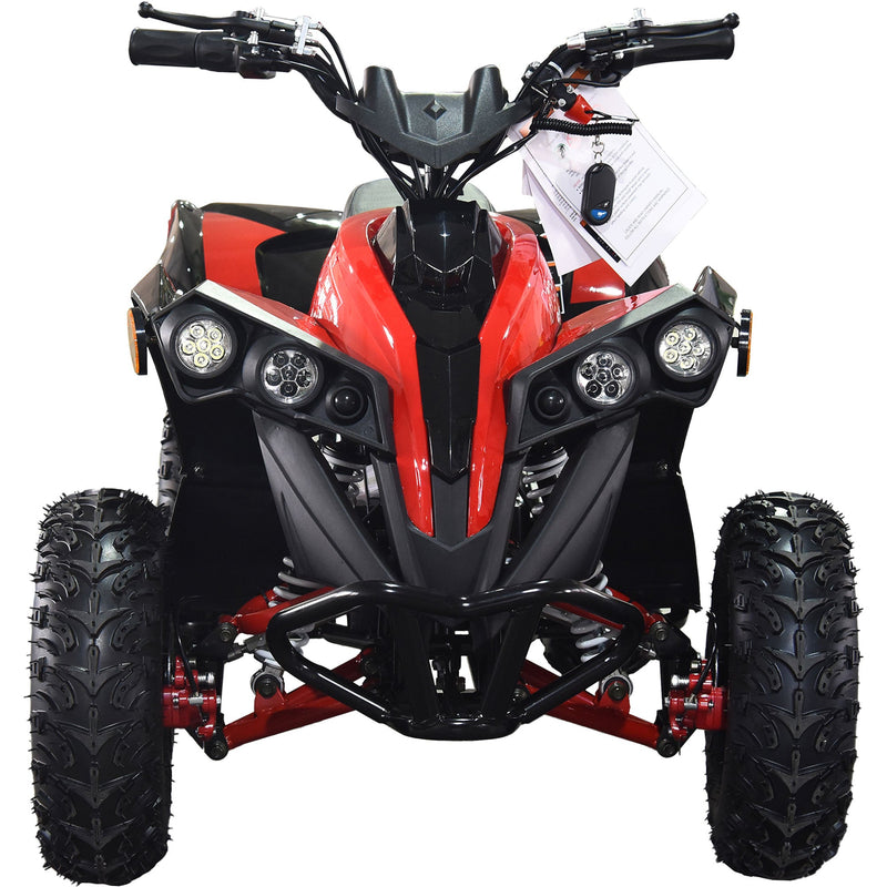 36V 1.0 kW Lead Acid ATV