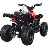 36V 1.0 kW Lead Acid ATV