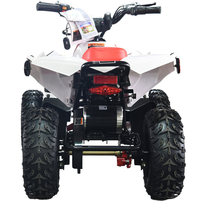 36V 1.0 kW Lead Acid ATV