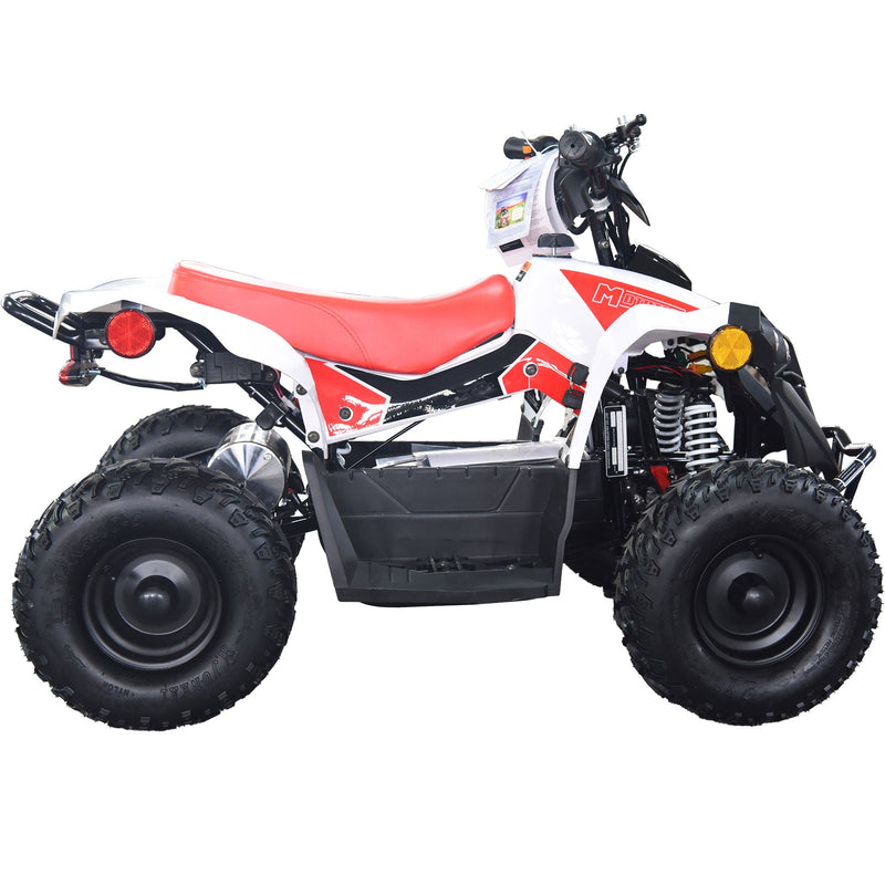 36V 1.0 kW Lead Acid ATV