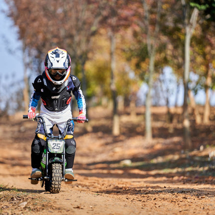 24V 250 Watt Mini Bike