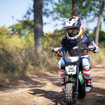 24V 250 Watt Mini Bike