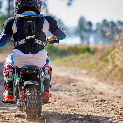 24V 250 Watt Mini Bike