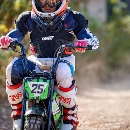 24V 250 Watt Mini Bike