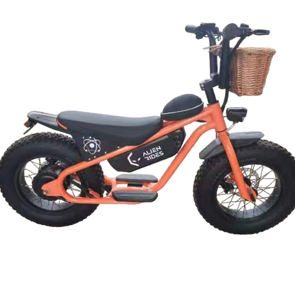 AR Atom 1000 Watt Mini Electric Bicycle