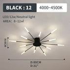 black 12 lights / Neutral White