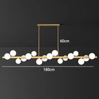 17 heads / APP with RC Dimmable