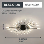 black 28 lights / Neutral White