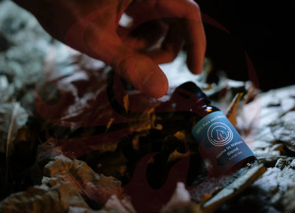 Essential Oil Blend | Sauna In Nature - Phoenix Fire Art Store