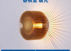 Champaign Gold / Warm White (2700-3500K)