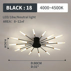 black 18 lights / Neutral White