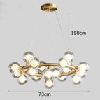 20 heads B / APP with RC Dimmable