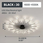 black 30 lights / Neutral White
