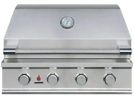 TrueFlame E-Series 32-Inch 4-Burner Built-In Gas Grill Designing Backyards