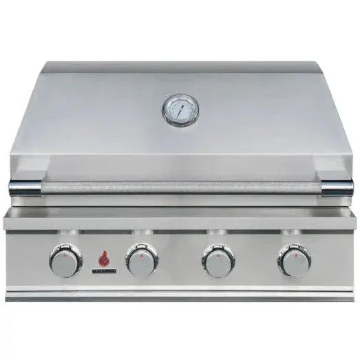 TrueFlame E-Series 32-Inch 4-Burner Built-In Gas Grill Designing Backyards