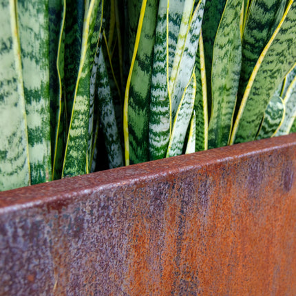 Corten Steel Edge Planters - FREE SHIPPING! MK Design Elements