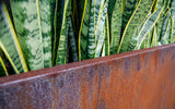 Corten Steel Edge Planters - Your Garden's New Best Friend (FREE SHIPPING!)