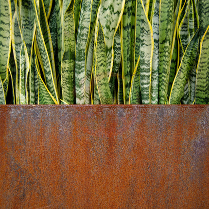 Corten Steel Edge Planters - FREE SHIPPING! MK Design Elements