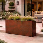 X-Large Edge (54