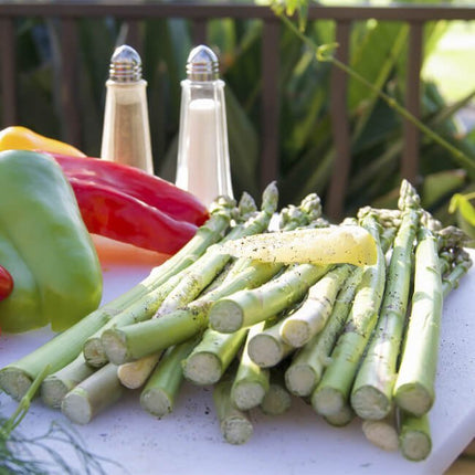 American Outdoor Grill 30NBL-00SP L-Series 3-Burner Built-In Natural Gas Grill, 30" [30NBL-00SP] (SAK02335)