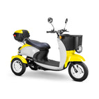 Yellow / Black / White