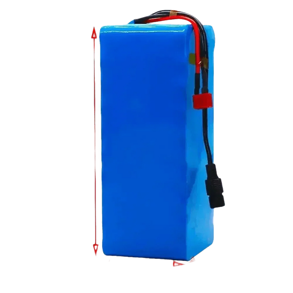 Blue 48V 90Ah Lithium-Ion Battery Pack with Charger