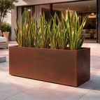 X-Large Box (54