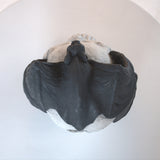 Fire Pit Demon Skull Gas Log For Ventless  Vent Free, Propane, Gel, Ethanol, Electric, Outdoor Fireplace And Fire Pit, Halloween Decor - Patent Pending