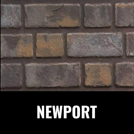 Napoleon Oakville 3 Direct Vent Natural Gas Fireplace Insert, 28" [GDI3N-1] (SAK25498) - Phoenix Fire Art Store