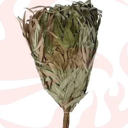 Eucalyptus Venik - Whisk - Phoenix Fire Art Store