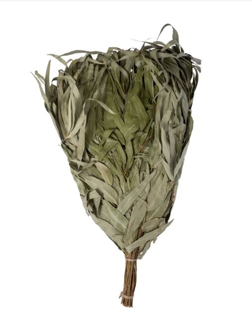 Eucalyptus Venik - Whisk