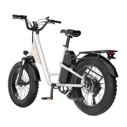 EKX L1 1000W 48V/15.6AH Electric Mountain Fat Tire Bike, 20" (SAK27491)