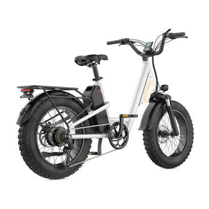 EKX L1 1000W 48V/15.6AH Electric Mountain Fat Tire Bike, 20" (SAK27491)