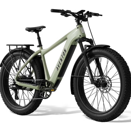 Aventon Aventure.3 E-Bike Step-Over